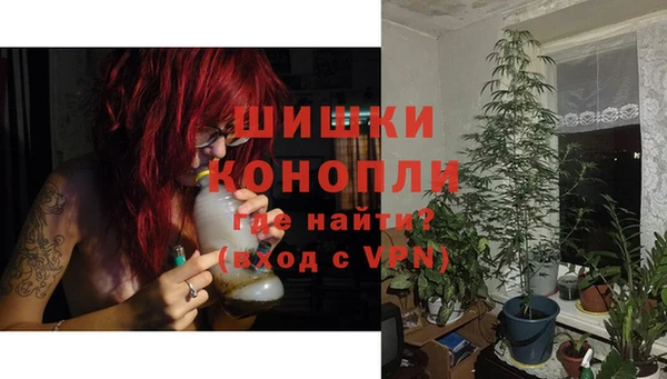 шишки Алексеевка