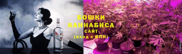 шишки Алексеевка
