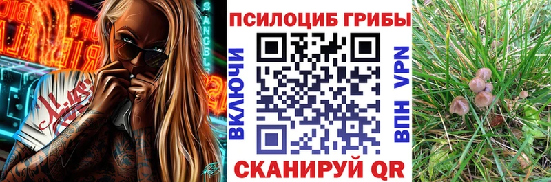 ссылка на мегу ТОР  Печоры  Галлюциногенные грибы MAGIC MUSHROOMS 